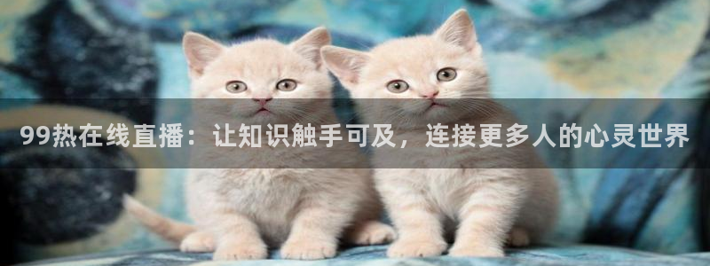 火凤体育免费直播入口