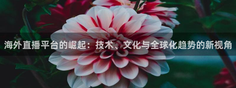 火凤体育直播免费比赛：海外直播平台的崛起：技术、文化与全球化趋势的新视角