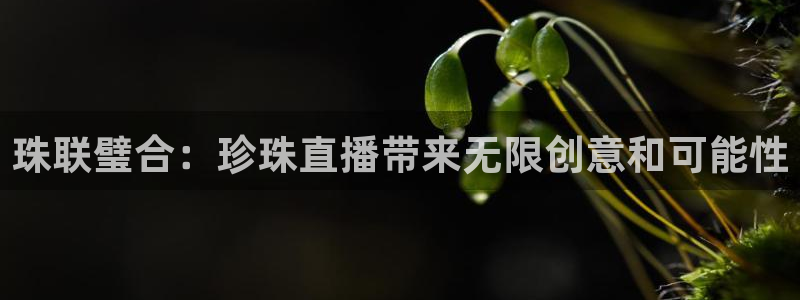 nba火凤体育免费直播：珠联璧合：珍珠直播带来无限创意和可能性