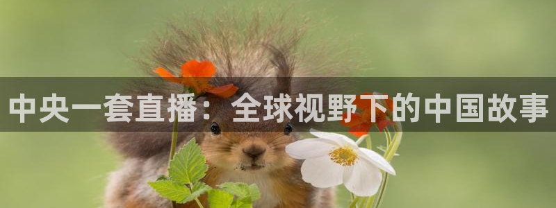 火凤直播体育app下载安装：中央一套直播：全球视野下的中国故事