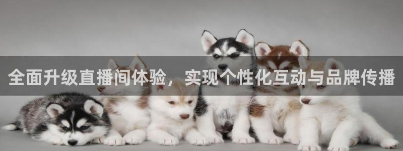 火凤直播篮球免费观看：全面升级直播间体验，实现个性化互动与品牌传播