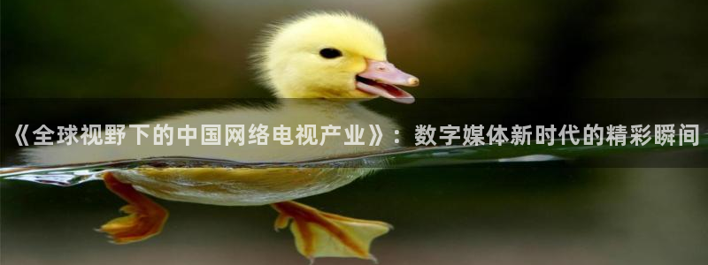 火凤直播体育直播最新赛程：《全球视野下的中国网络电视产业》：数字媒体新时代的精彩瞬间